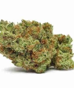 Bruce Banner