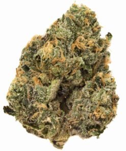 buy Sherbet Cake strain in usa