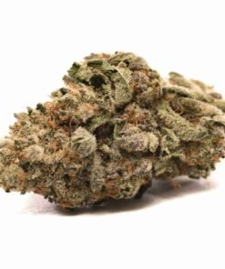 Buy Grease Monkey strain