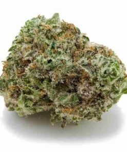 buy Green Crack God strain in usa