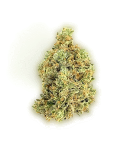 buy Larry Cake strain in usa