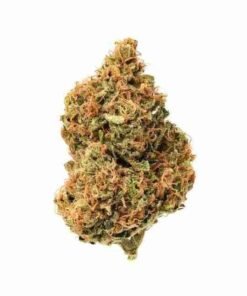 Buy Golden Goat strain in usa