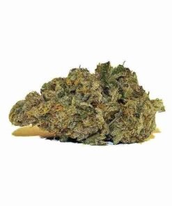 buy Frosted Cherry Cookies strain in usa