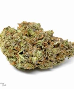 buy Wedding Cake strain in usa