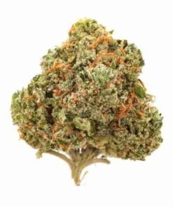 buy Blueberry Kush strain in usa