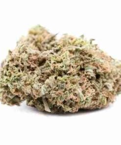 buy Alien Dawg strain in usa