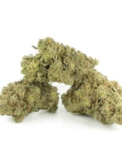 buy Apple Fritter strain in usa