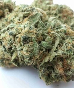 buy Blue Lights strain in usa