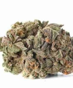 buy Blueberry Haze strain in usa