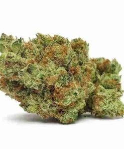 buy Bruce Banner strain in usa