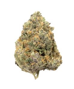 buy Do- Si - Lato (Dolato) strain in usa