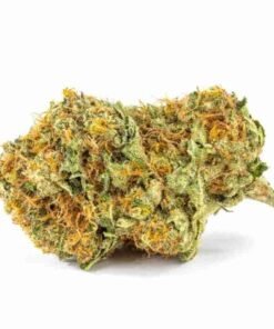 Buy Gorilla Glue 5 strain in usa