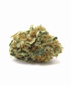buy Hindu Kush strain in usa