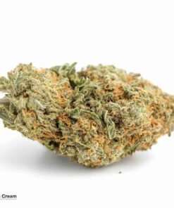 Buy Irish Cream strain  in usa