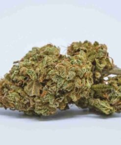 Buy Jet Fuel strain in usa