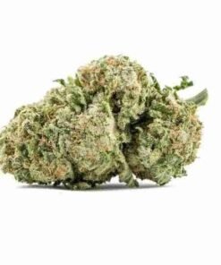 buy Juicy Fruit strain in usa