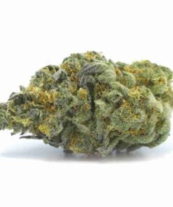 buy Mandarin Cookies strain in usa