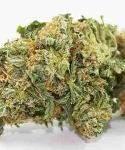 buy Mazar Kush strain in usa
