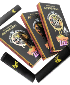 PAPAYA LIVE | INDICA