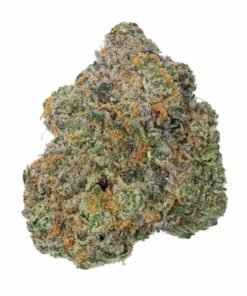 buy Papaya strain in usa