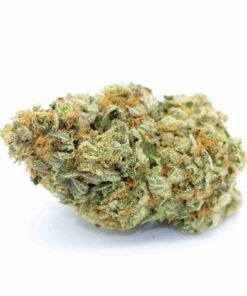 buy Pineapple strain in usa