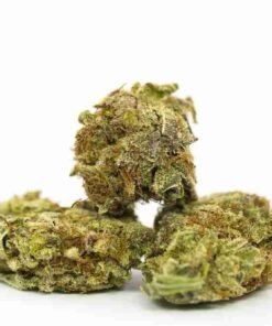 buy Space Cookies strain in usa