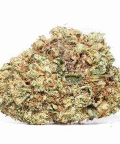 buy Black Roses strain in usa