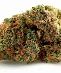buy Skunk kush strains in usa