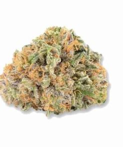 Buy Strawberry Cough strain in usa
