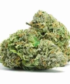 Buy Sweet Tooth strain usa