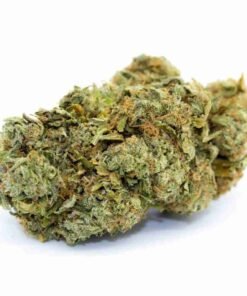 buy Trainwreck strain in usa