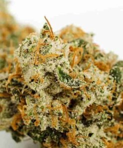 buy Gold Kush strain in usa