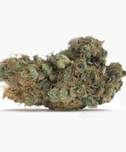 Buy White Kush strain in usa