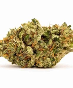 buy White Widow strain in usa