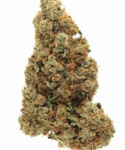buy Afghani strain in usa