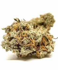 Buy Blue Cheese strain in usa