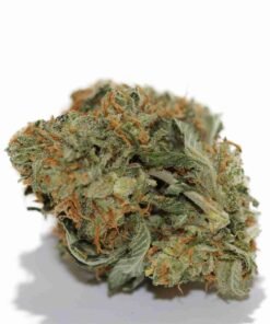 Buy Northern Lights strain in usa