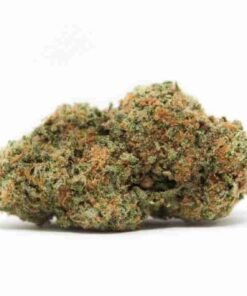 buy Sweet Berlin strain in usa