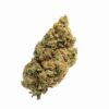 buy Blue Amnesia strain in usa