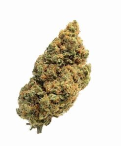 buy Blue Amnesia strain in usa