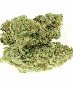 buy CBD Dream strain in usa