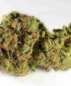 buy Chemdawg strain in usa