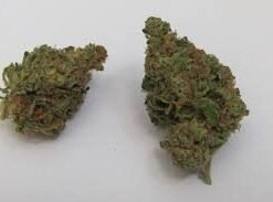 buy Fruity Pebbles strain in usa