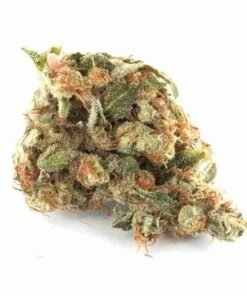 buy Girls Scout Cookies strain in usa