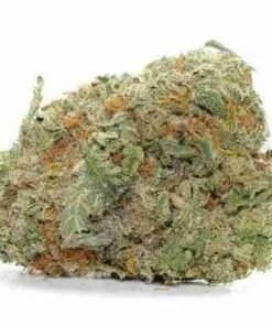 buy God?s Green Crack strain in usa