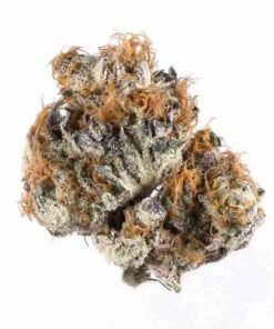 buy Blueberry strain in usa