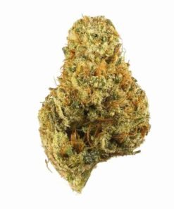 Buy Duke Nukem strain in usa