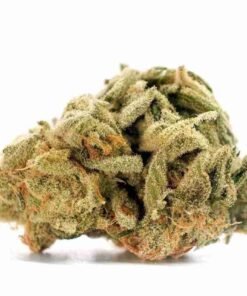 buy Lemon Kush strain in usa
