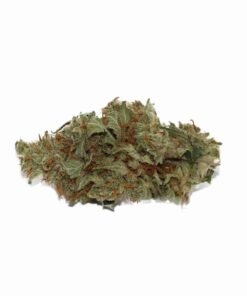 Buy Mango Haze strain in usa