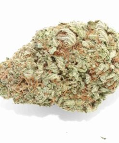 buy Mataro Blue strain in usa